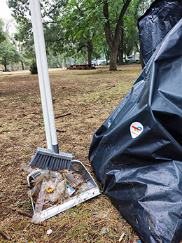 Let's clean up Bulgaria together