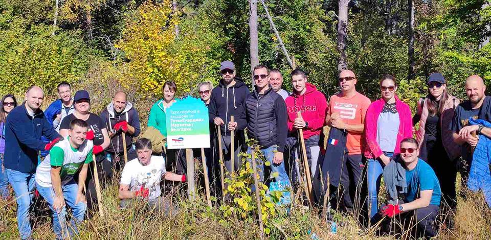 Tending our forest in Vitosha Mountain