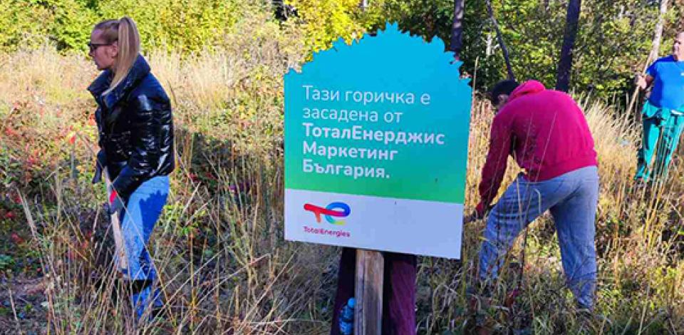 Tending our forest in Vitosha Mountain