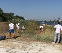 Cleaning of the pier